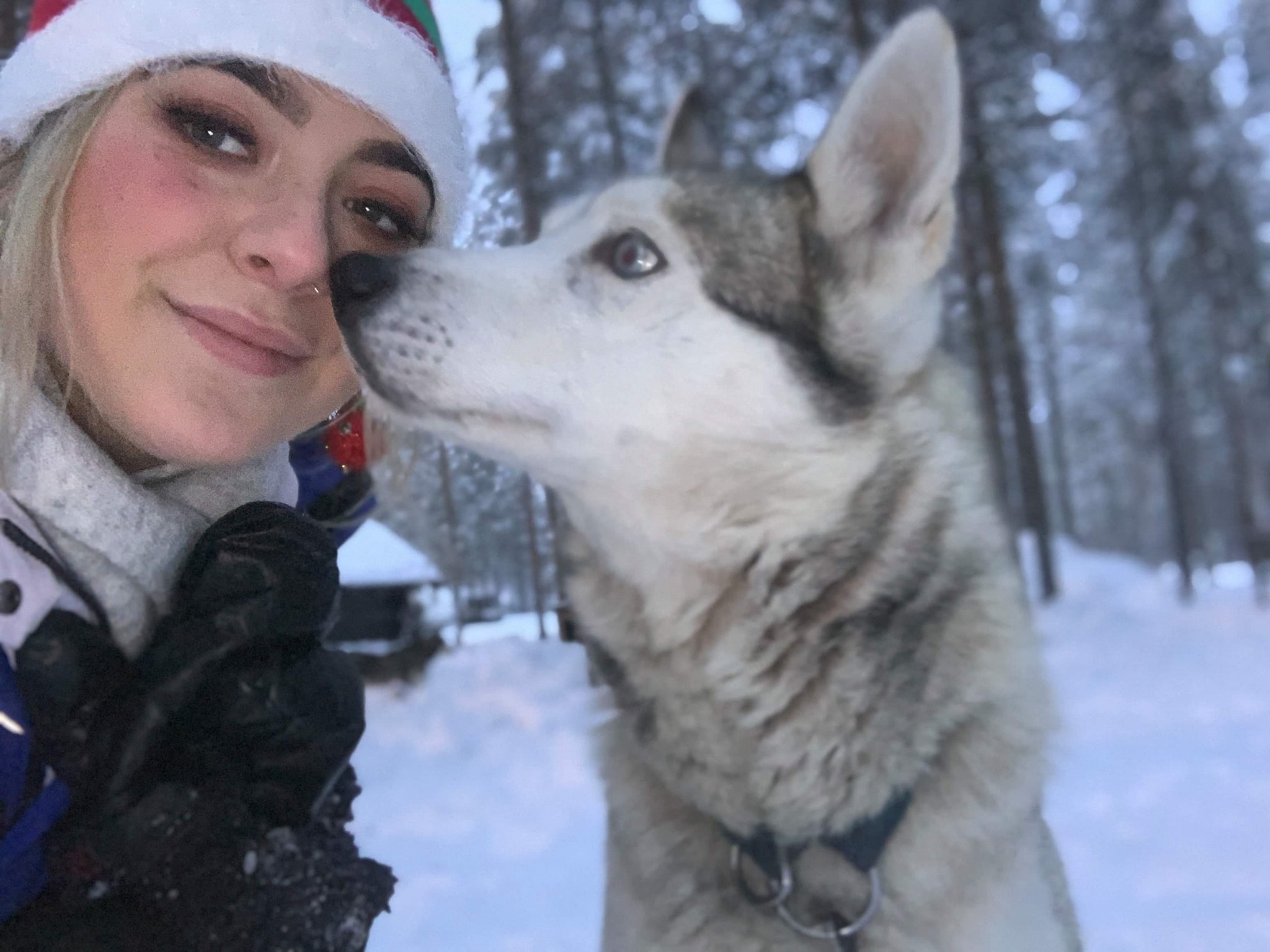 LAPLAND ELVES and face painting Premier Face Painting Ireland