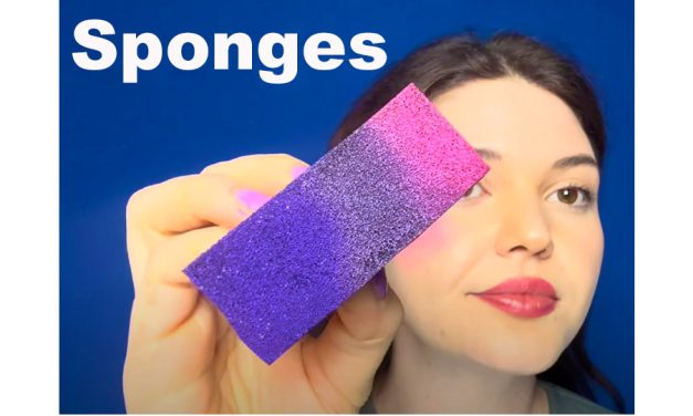 Face Painting Sponges